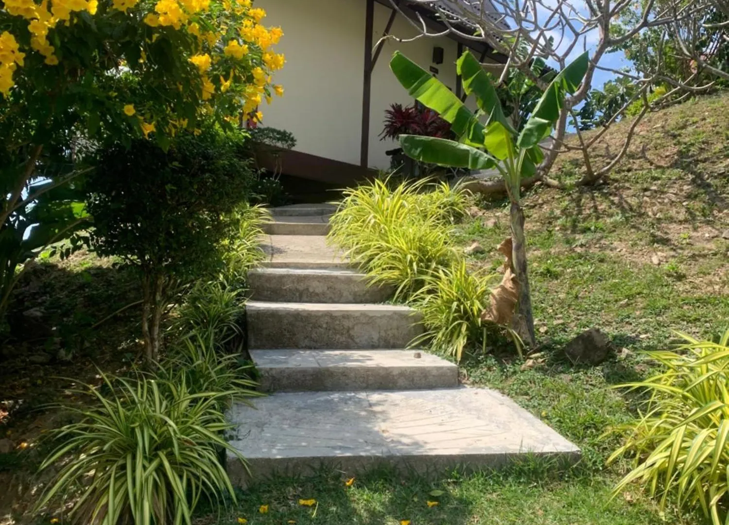 *** Pensjonat Hotel Phuchawee Lanta Ko Lanta Tajlandia